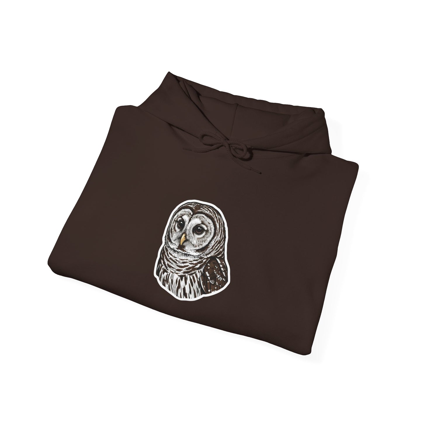 Hand-Drawn Barn Owl Illustration Hoodie | Wildlife Chest Print