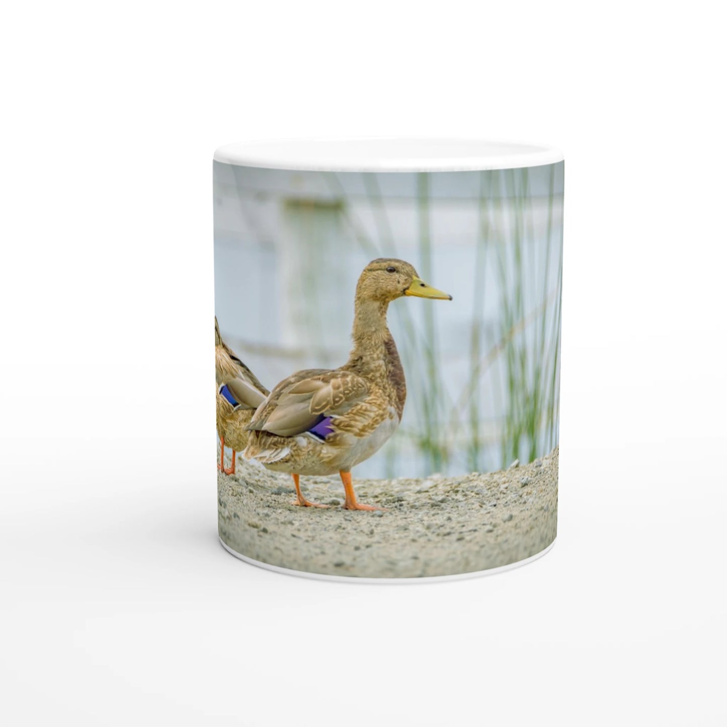 571f647d-dce8-4f6b-a1cb-020e062fce8d