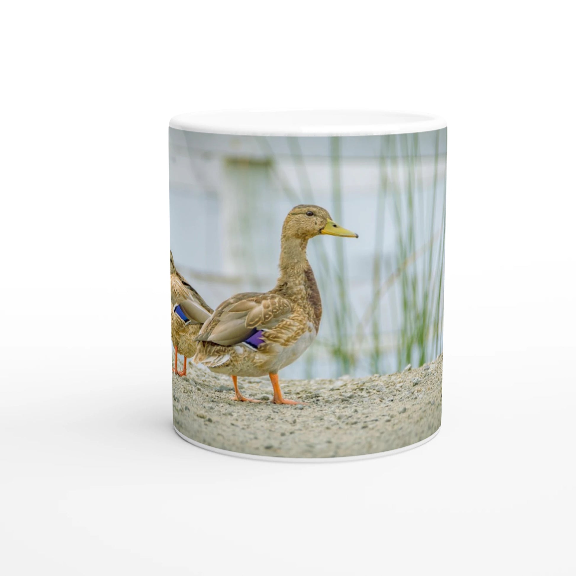 571f647d-dce8-4f6b-a1cb-020e062fce8d