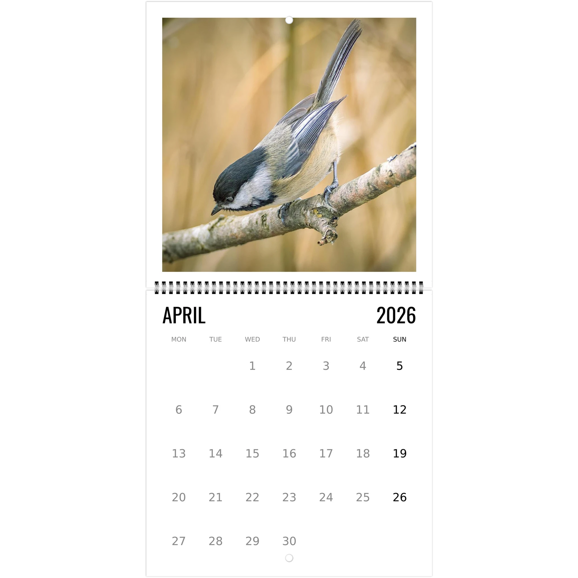 5791c268-1c0d-4e4c-9105-9ae170e7fe1b