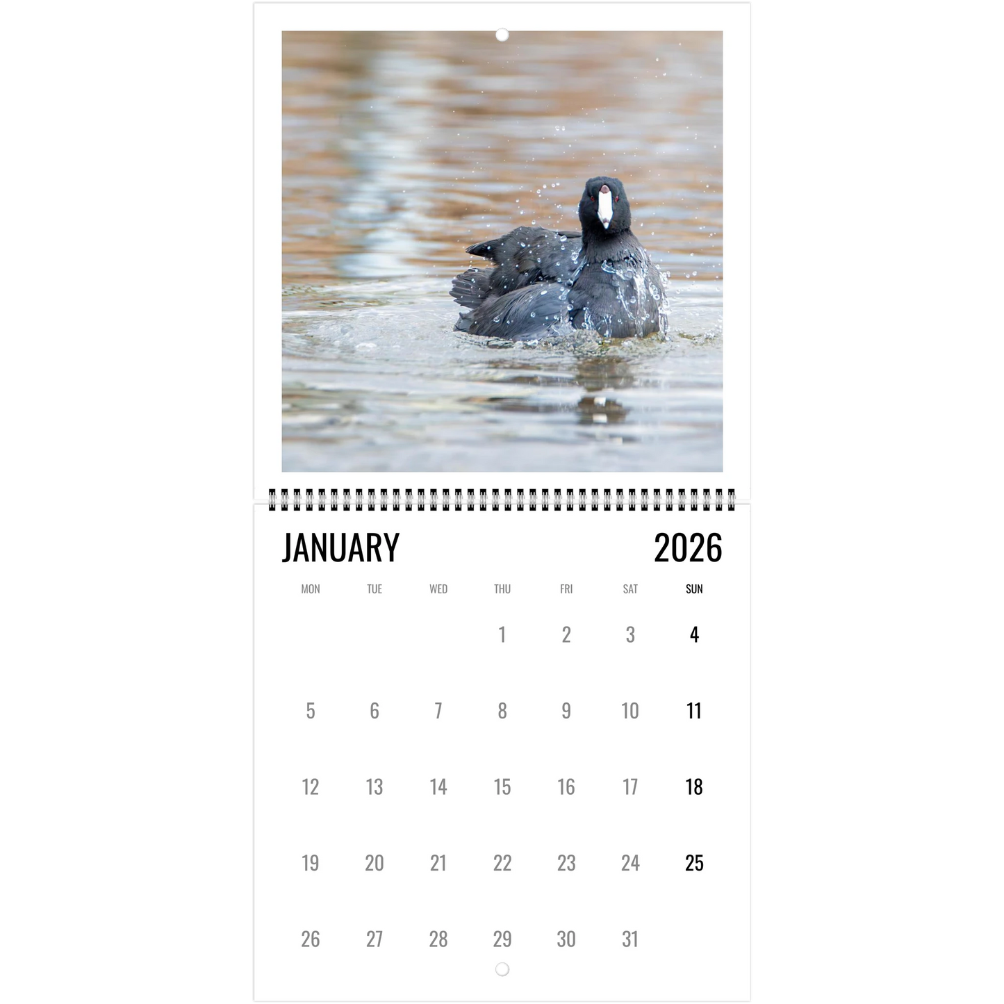 58cc0d68-1c32-4710-8845-88b545dac1b1