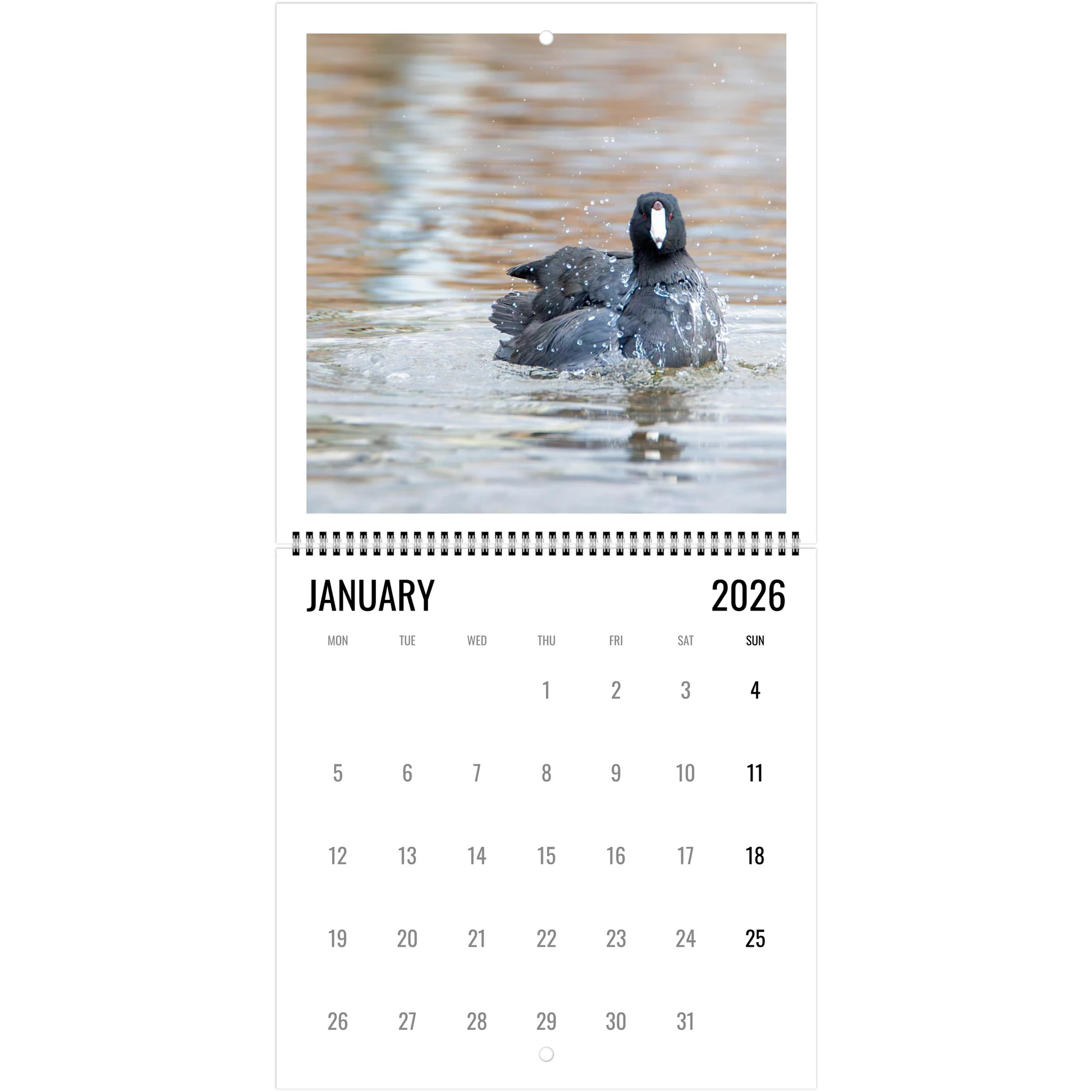 58cc0d68-1c32-4710-8845-88b545dac1b1