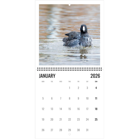 58cc0d68-1c32-4710-8845-88b545dac1b1