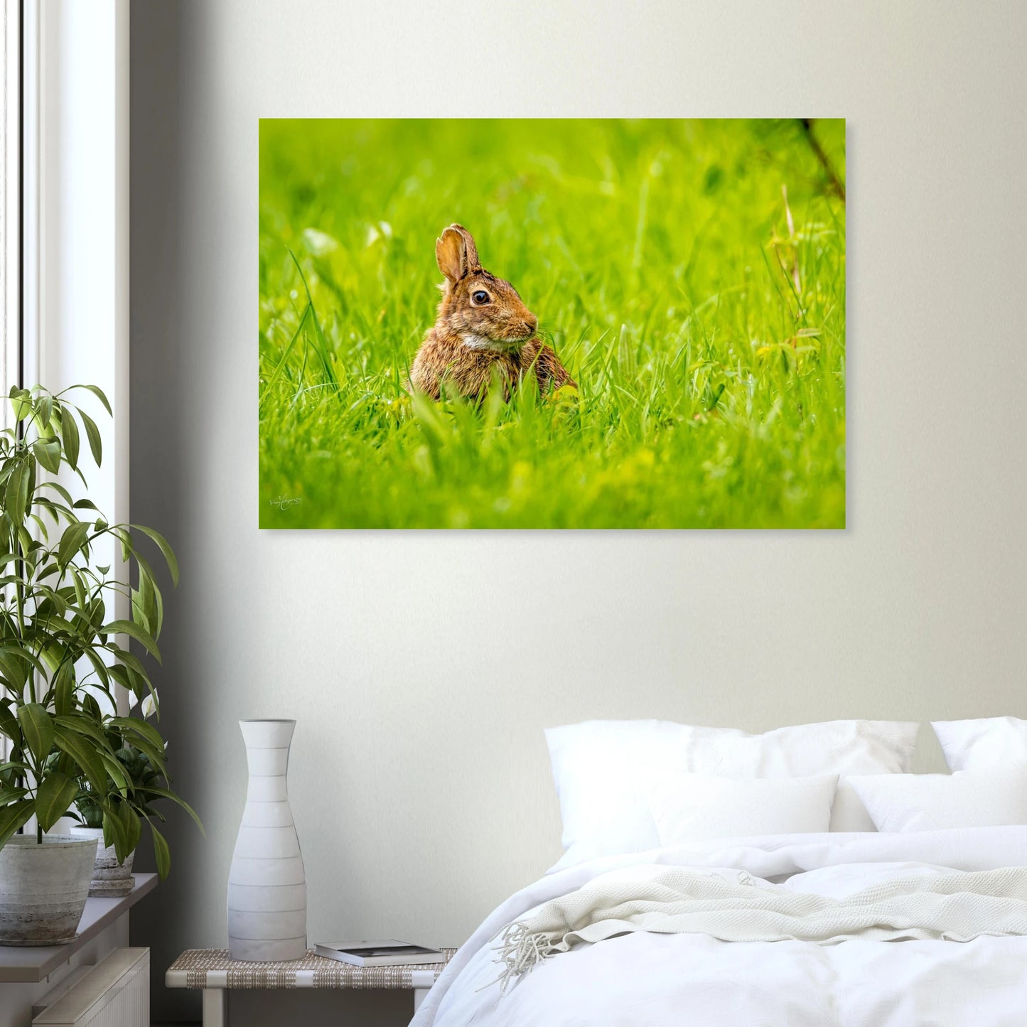 59d45f70-98e2-46f3-b893-8afd4532a601