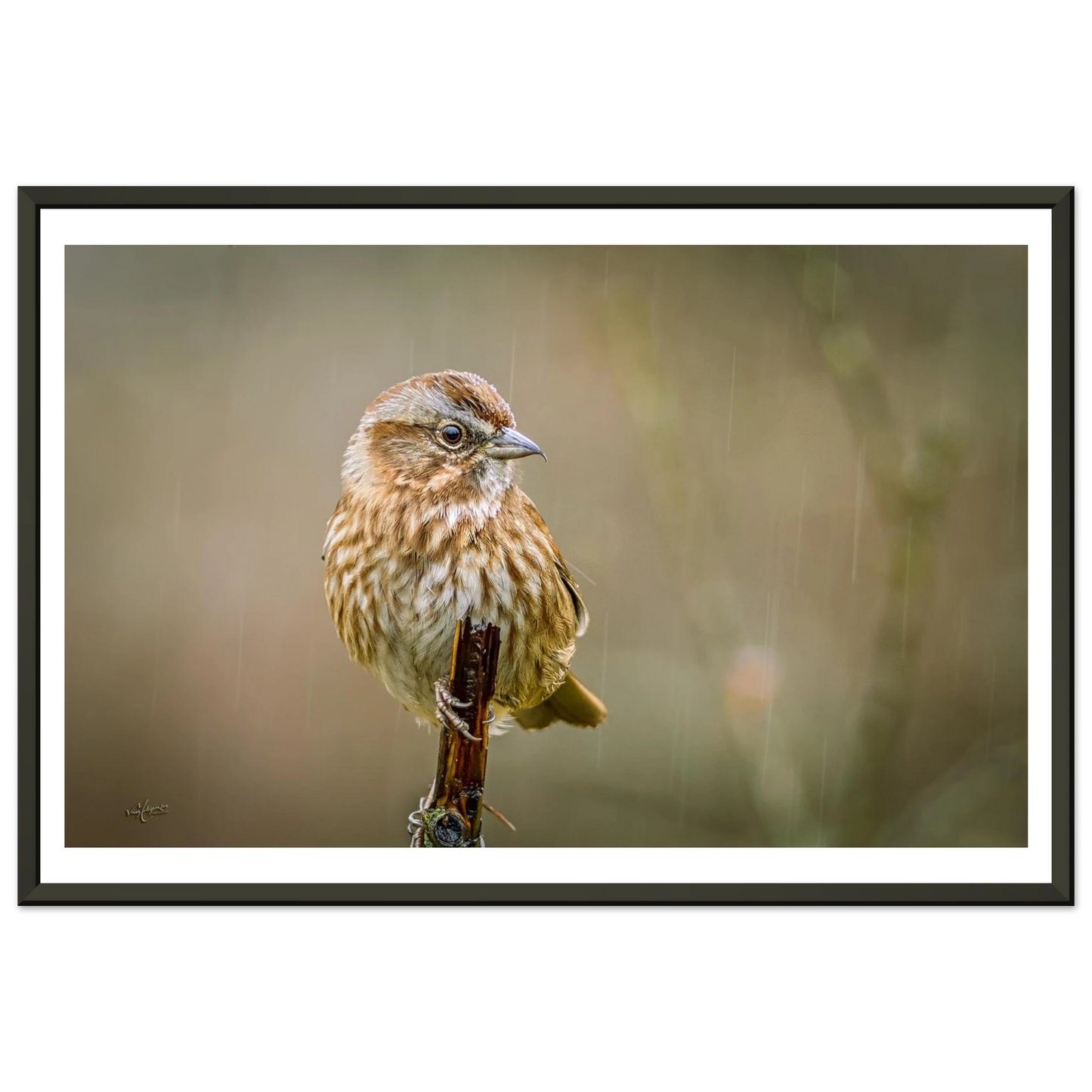 5fdfc950-42a8-4b6e-a78e-734bddc083ad