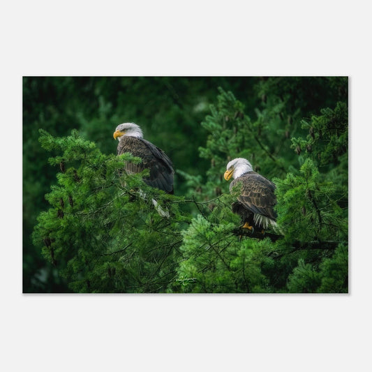 66bafa1c-d3bc-4304-bd51-917405ecaefc