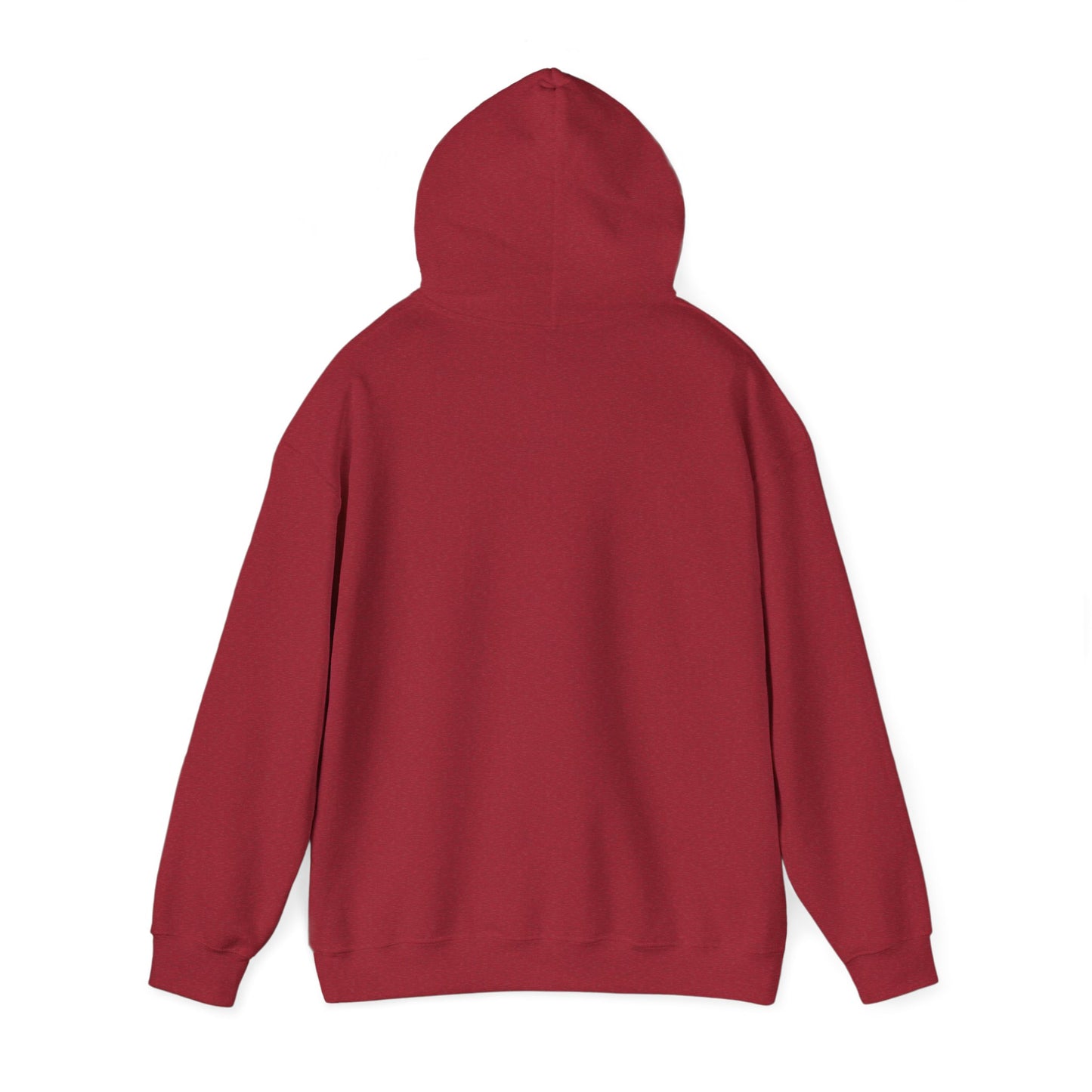 Hand-Drawn Barn Owl Illustration Hoodie | Wildlife Chest Print