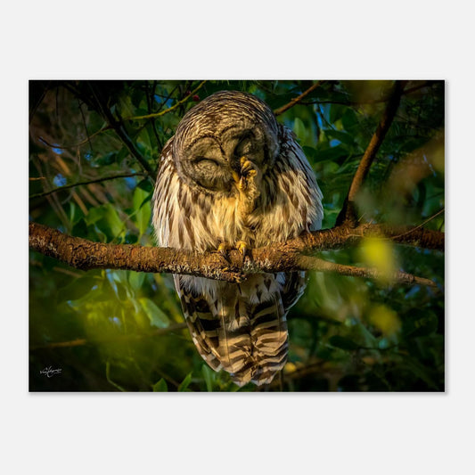 68843f81-2701-4d8b-a7e3-8c3ab54bcaa0