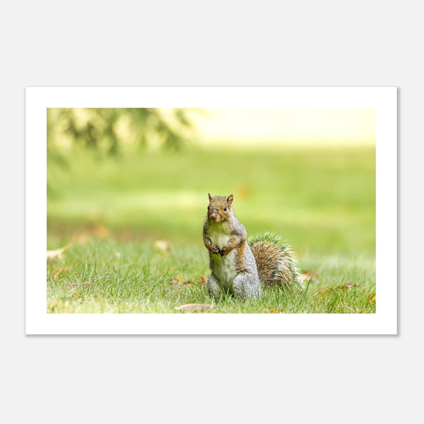 6a6e93d6-fb93-4576-aa9b-e9dea22797e2