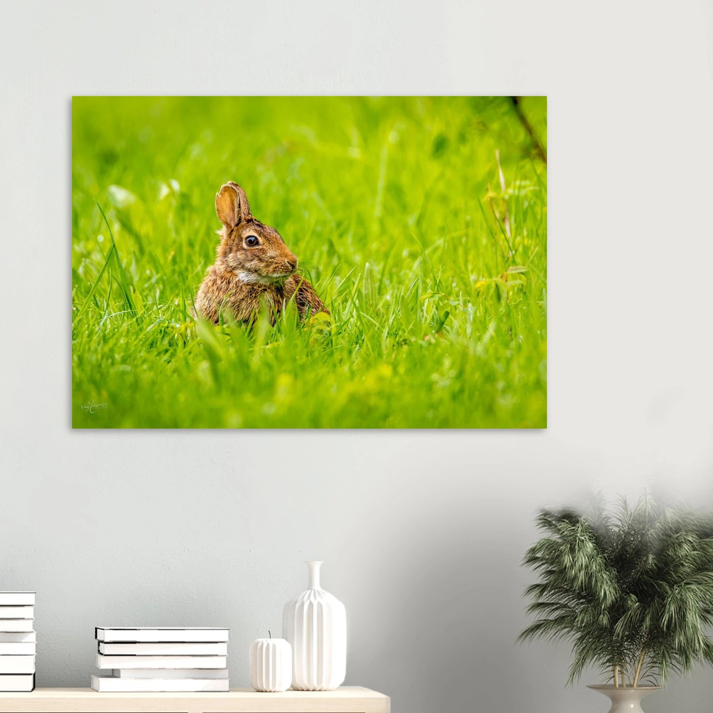 6c379183-ea79-4e8c-ac25-270fb961c364