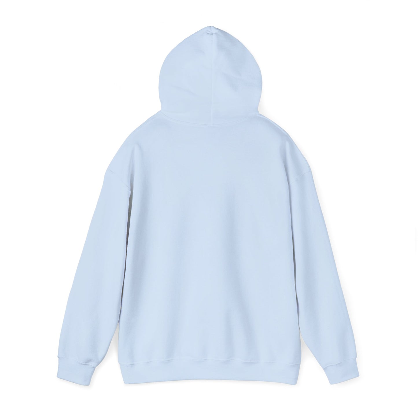 Hand-Drawn Barn Owl Illustration Hoodie | Wildlife Chest Print