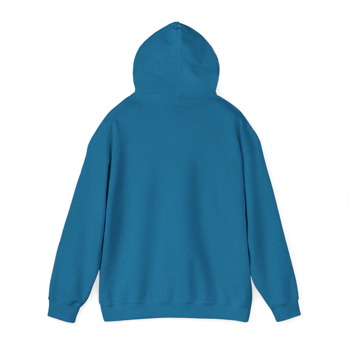 Hand-Drawn Barn Owl Illustration Hoodie | Wildlife Chest Print