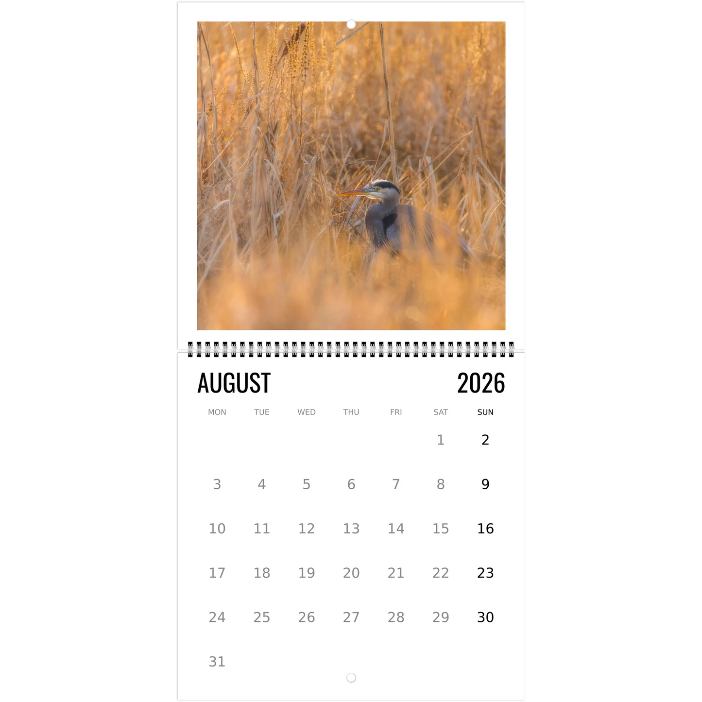 7a460fbe-1c93-4689-bbe1-5e97a586bfa3