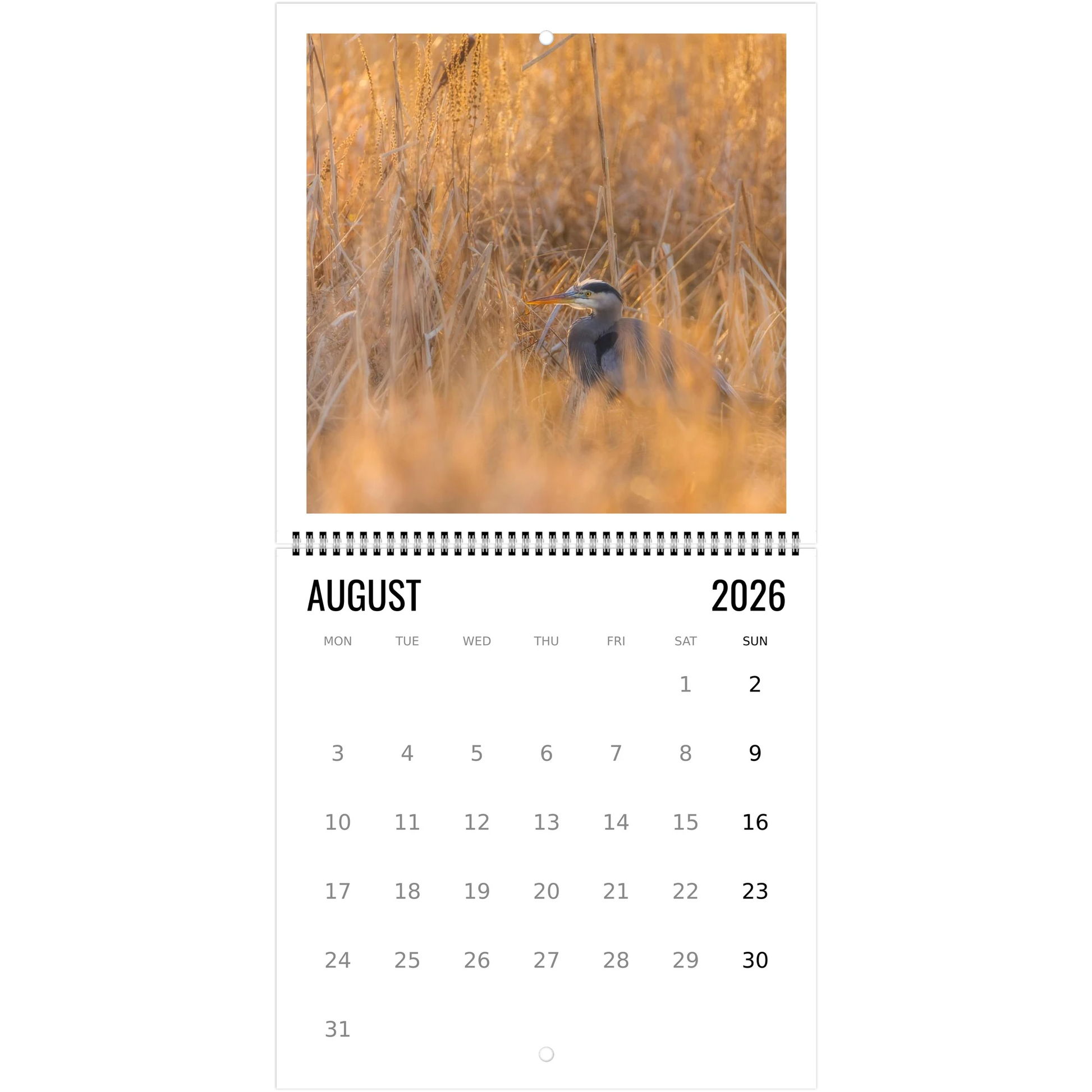 7a460fbe-1c93-4689-bbe1-5e97a586bfa3