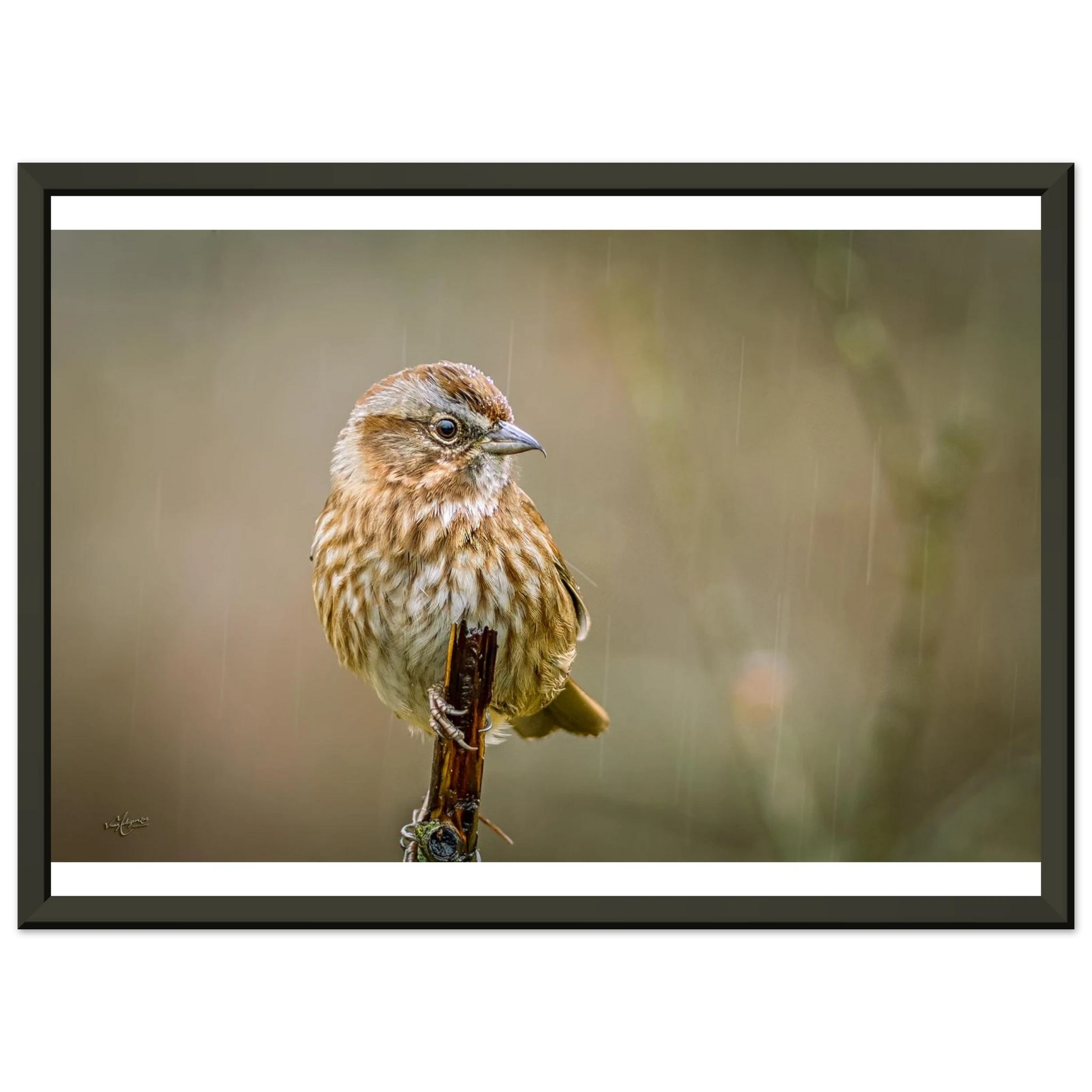 7b1f0c20-54f2-4823-860b-28d28716d705