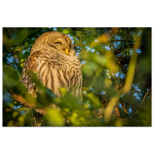 7d9ecc96-604c-4096-8f0b-fd9ef9b67a63