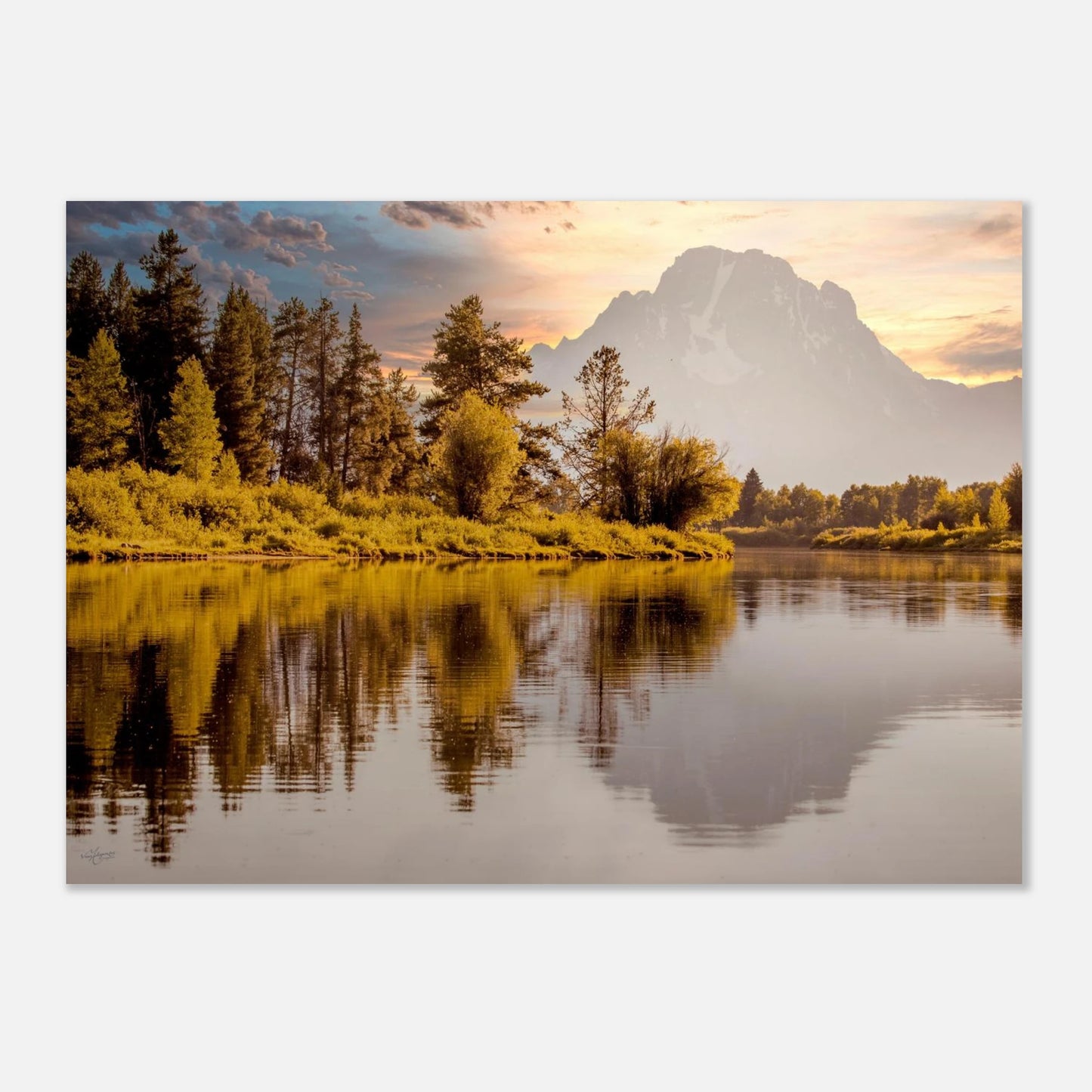 7fb6f313-fcbf-4d24-b910-b2c638886b8e