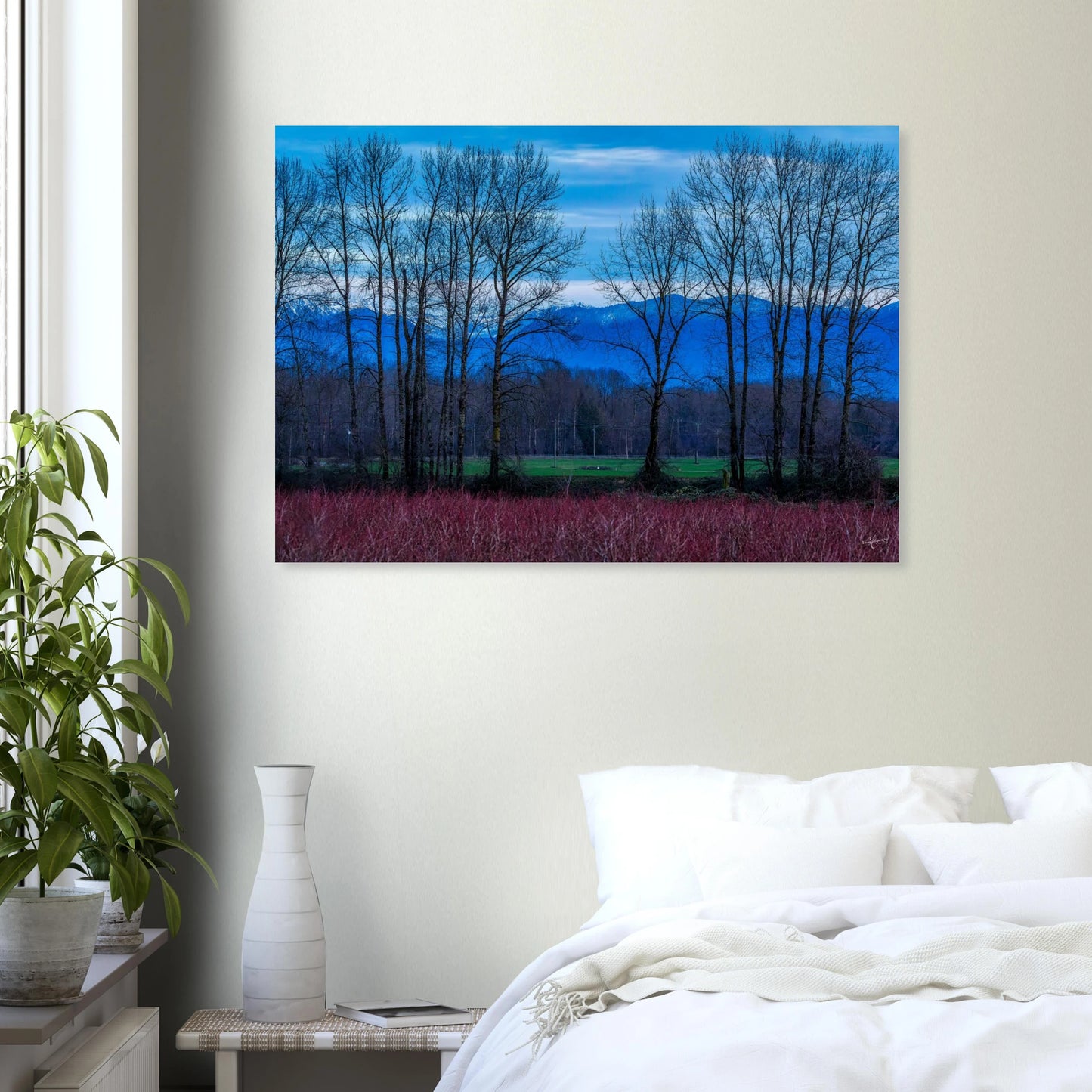 80c05ec6-0ee9-41d5-811f-893ab0ee435f