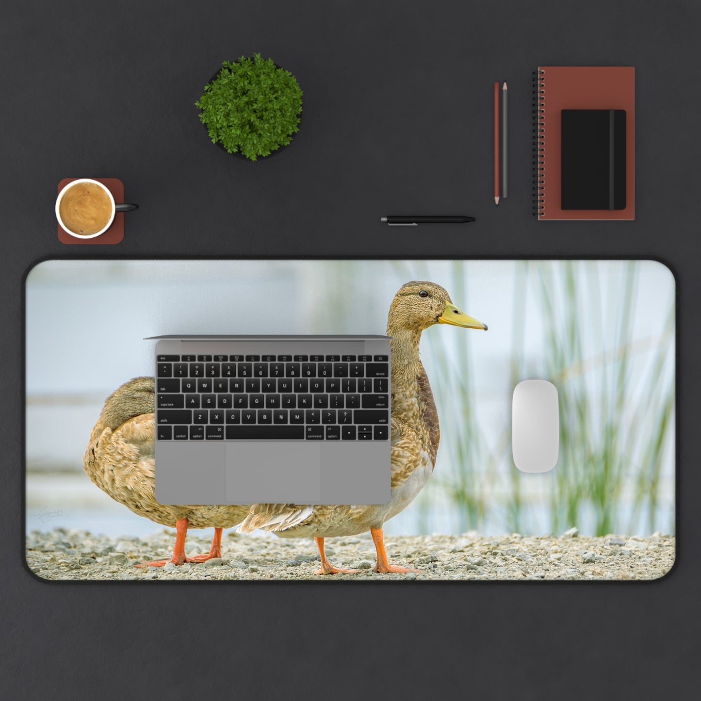 Duck Pair Desk Mat — Scenic Waterfowl Mouse Pad for Nature Lovers