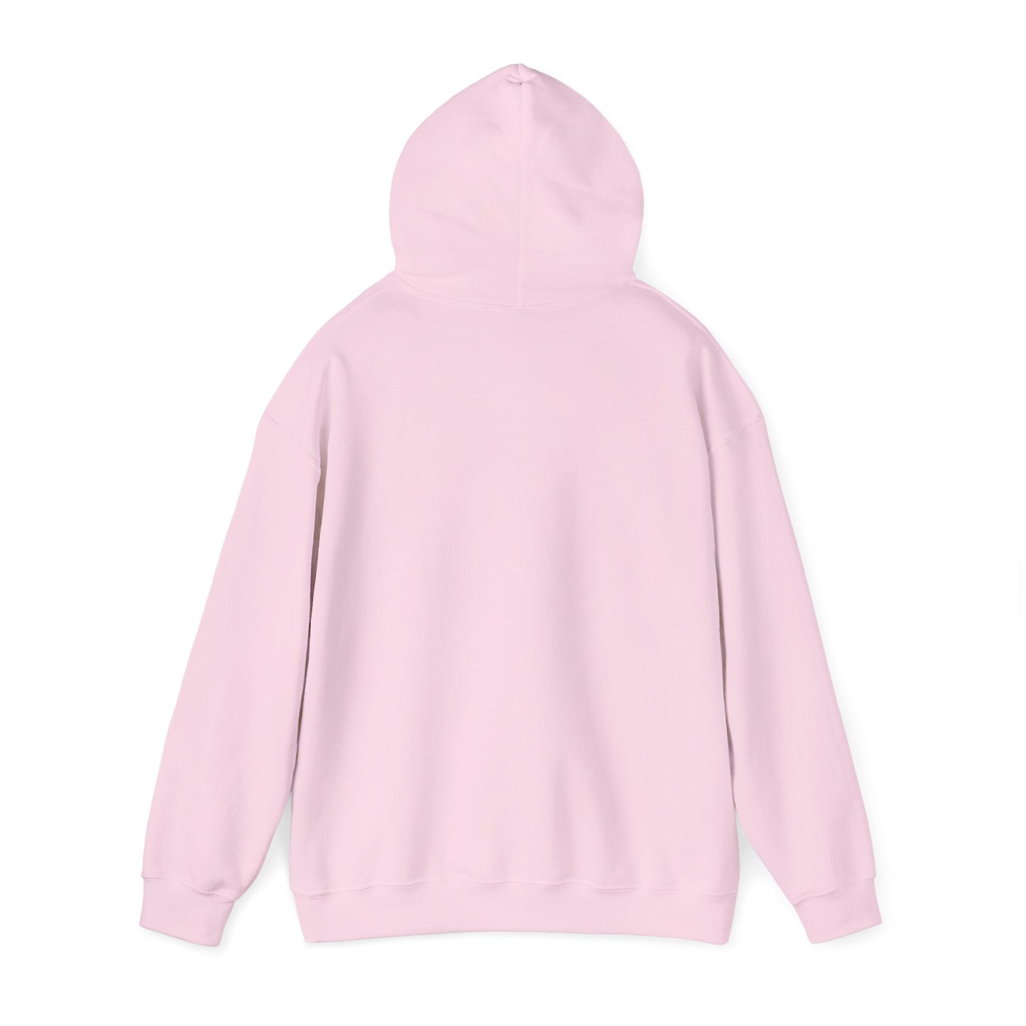 Hand-Drawn Barn Owl Illustration Hoodie | Wildlife Chest Print
