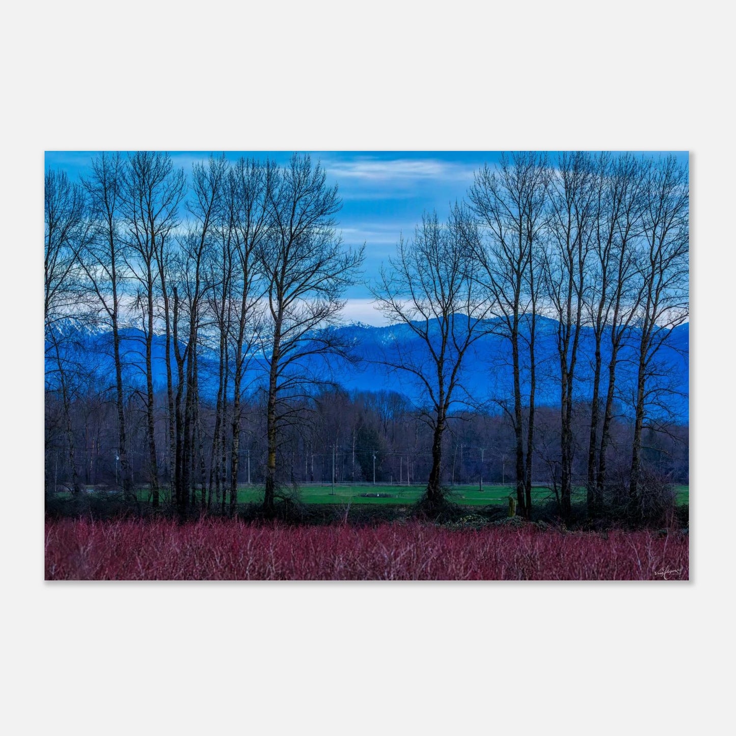 87cd47db-e0e1-4ffd-abbf-fbb2f795e19c