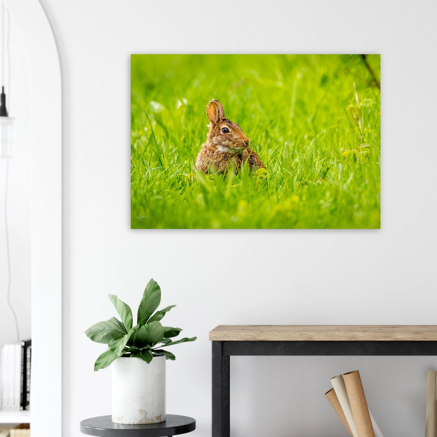 88ebdaf1-0893-4c2d-a170-d8731ca801f8