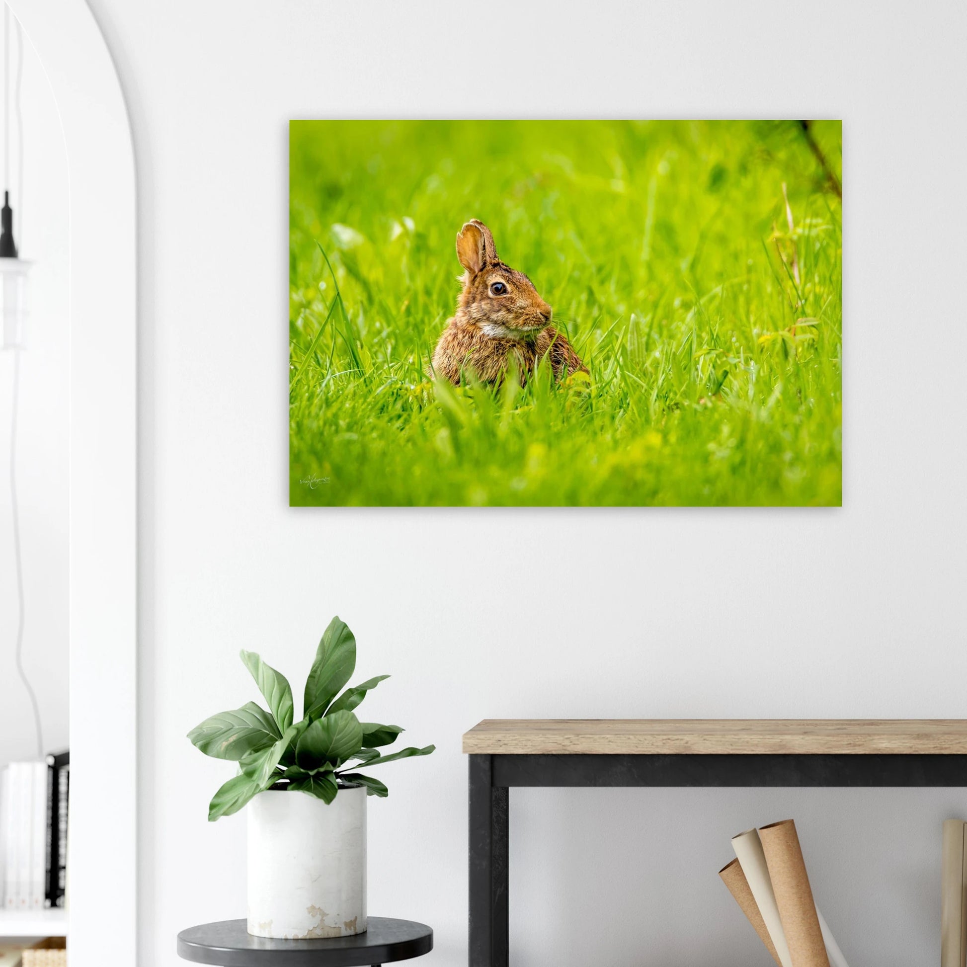 88ebdaf1-0893-4c2d-a170-d8731ca801f8