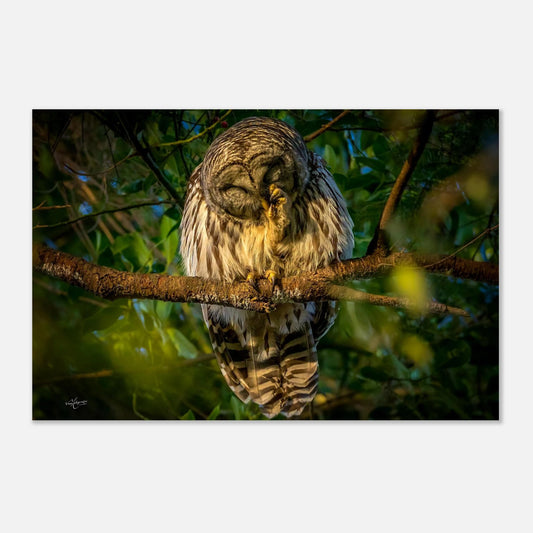 8a8cd23a-4972-4602-ae07-ab4d607d705c