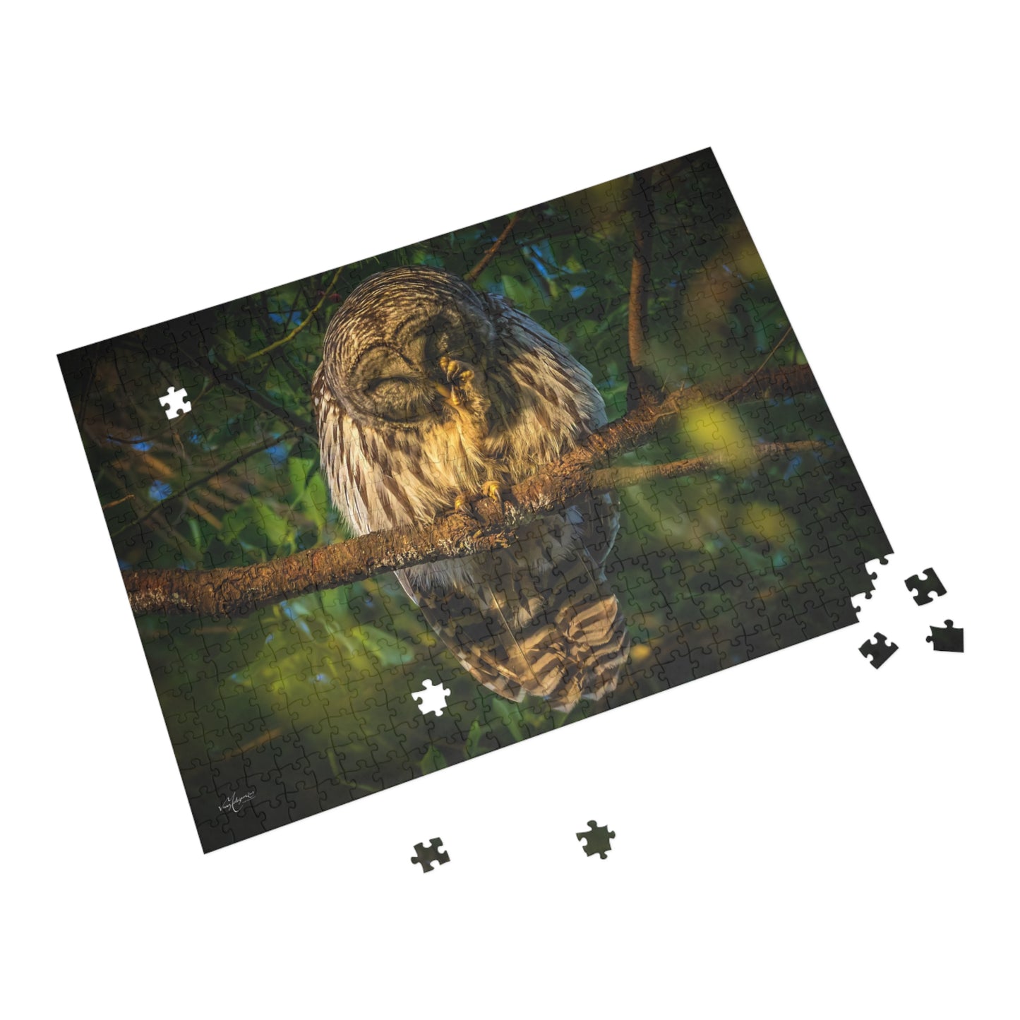 Barred Owl Wildlife Puzzle - 500, 1000 Piece Jigsaw