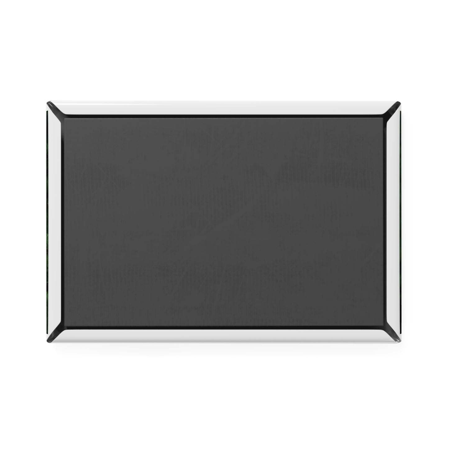 Bald Eagle Forest Rectangle Magnet — Glossy Nature Fridge Magnet
