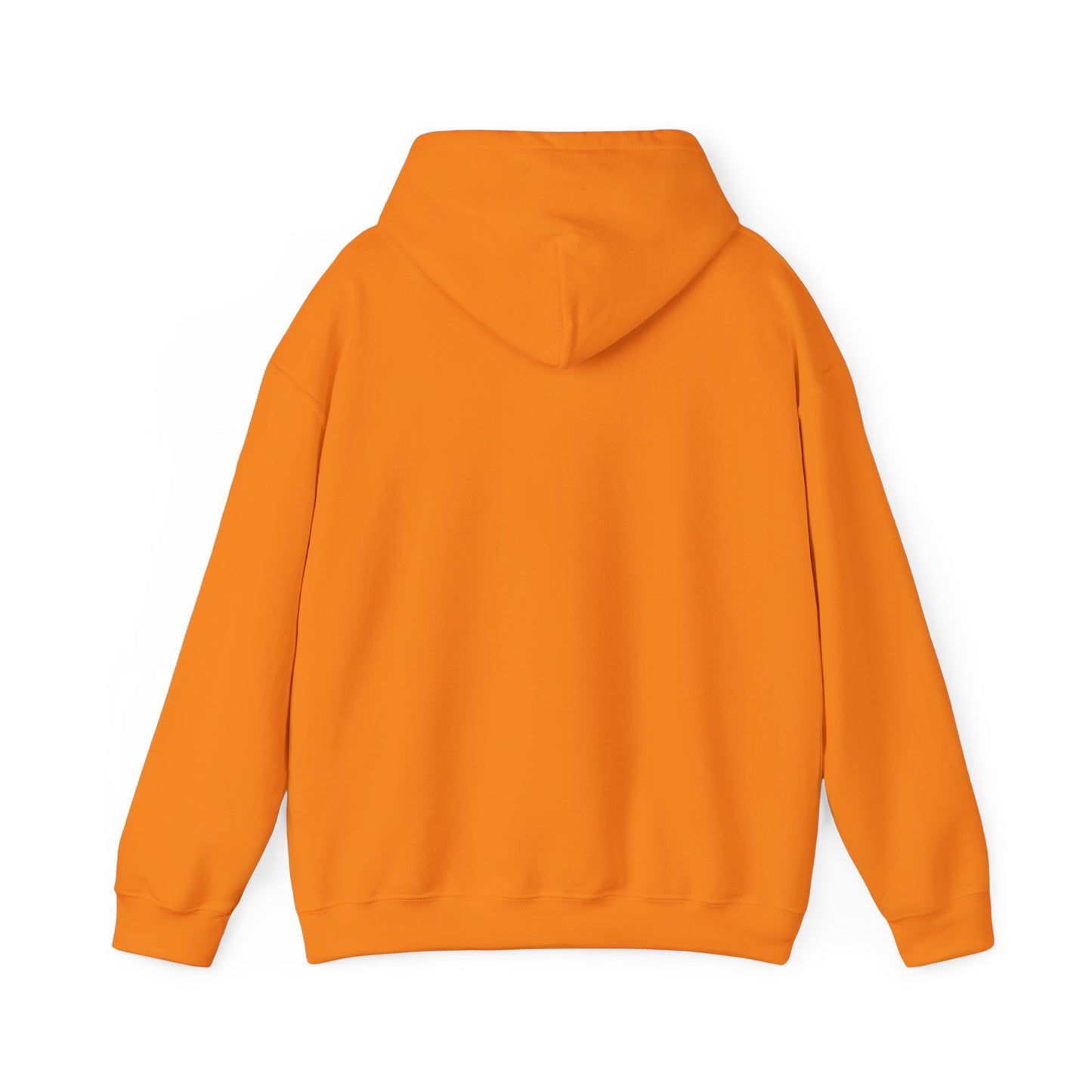 Hand-Drawn Barn Owl Illustration Hoodie | Wildlife Chest Print