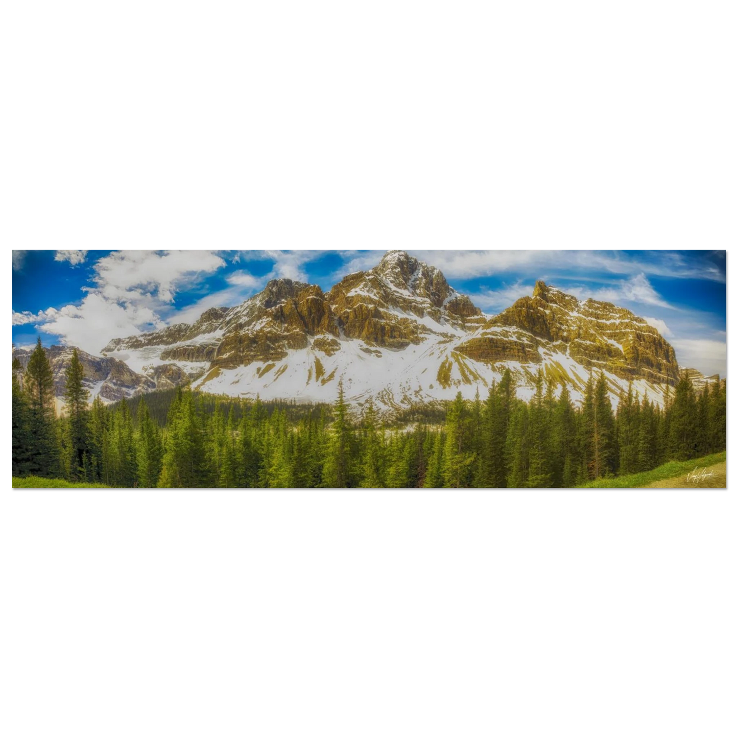 92f7497e-1e98-4365-b5d7-8796c31380f4