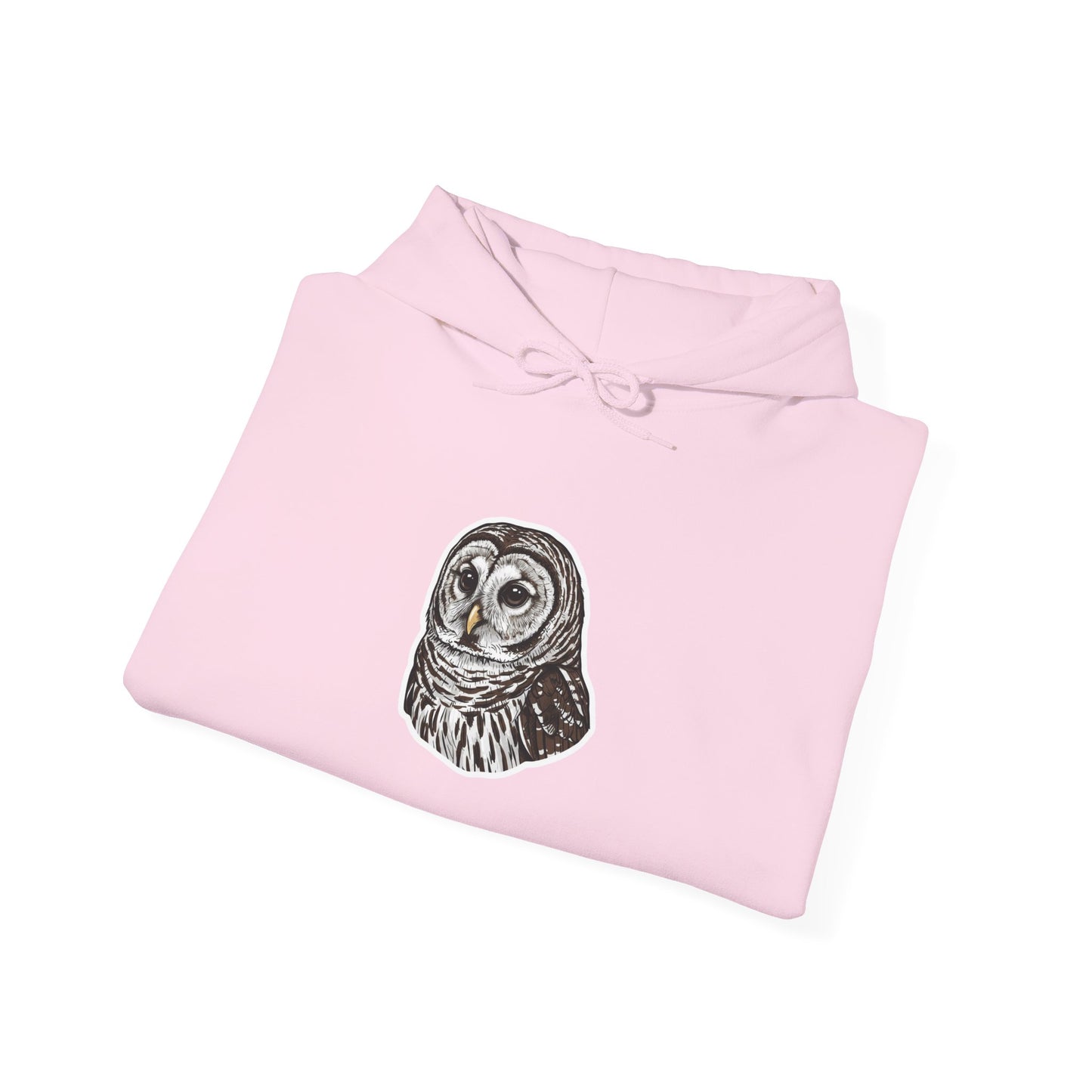 Hand-Drawn Barn Owl Illustration Hoodie | Wildlife Chest Print