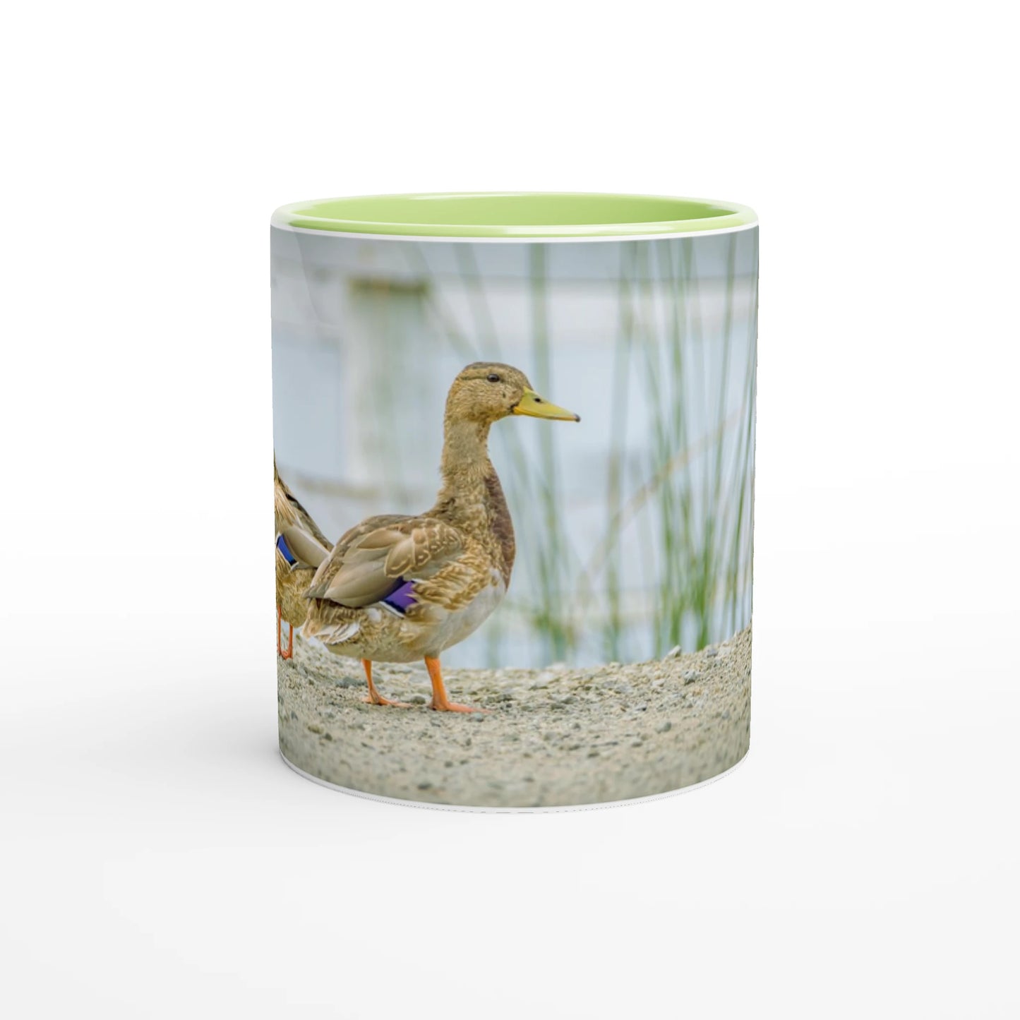 96e2a27b-7cab-457d-b566-b62e67801185