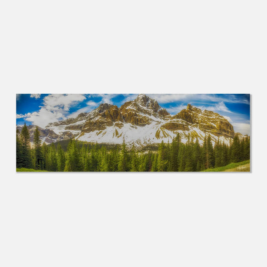 975cd557-f105-4da5-a671-72002e60a7d8