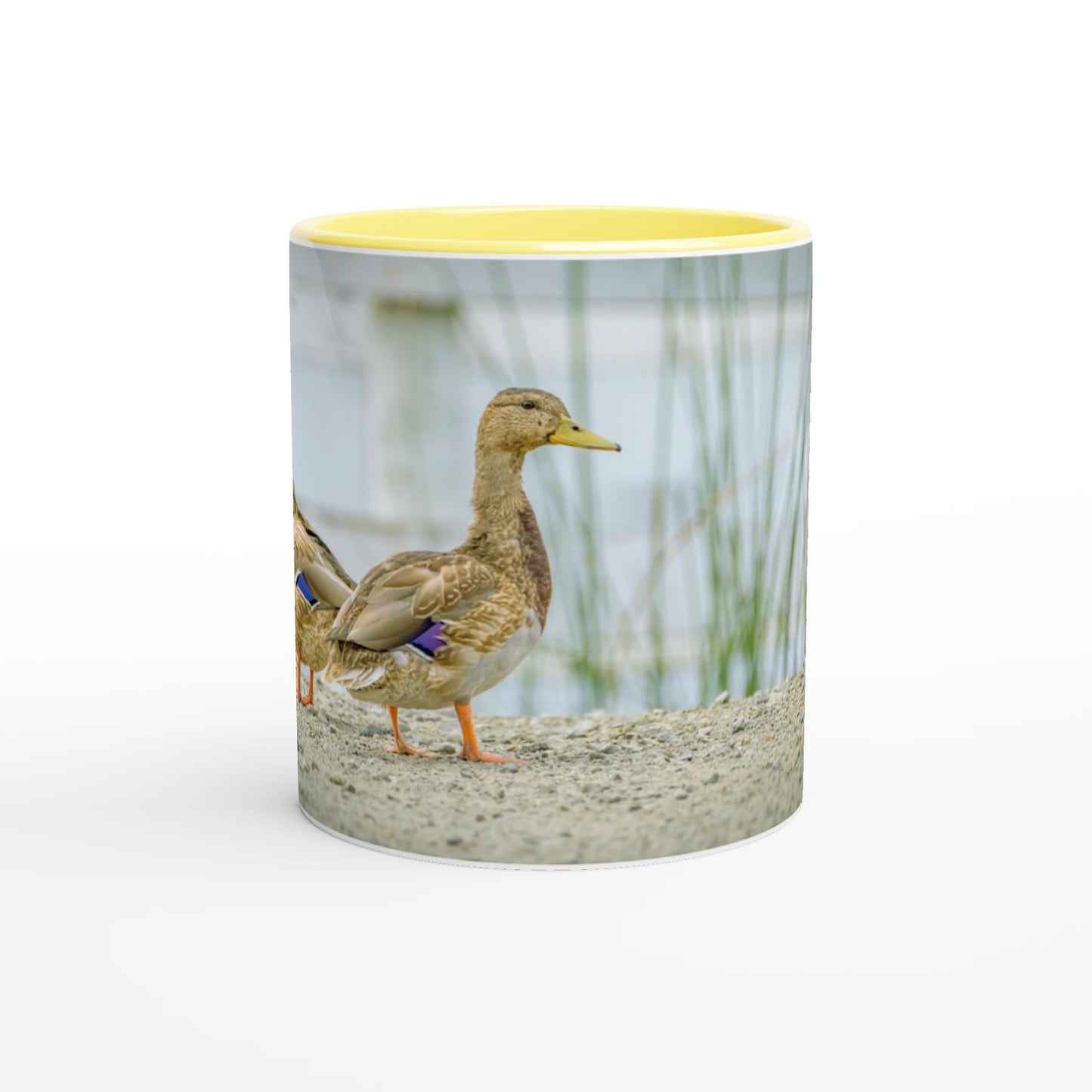 9efbd35a-c5bf-4fc4-9169-be342a4671d0