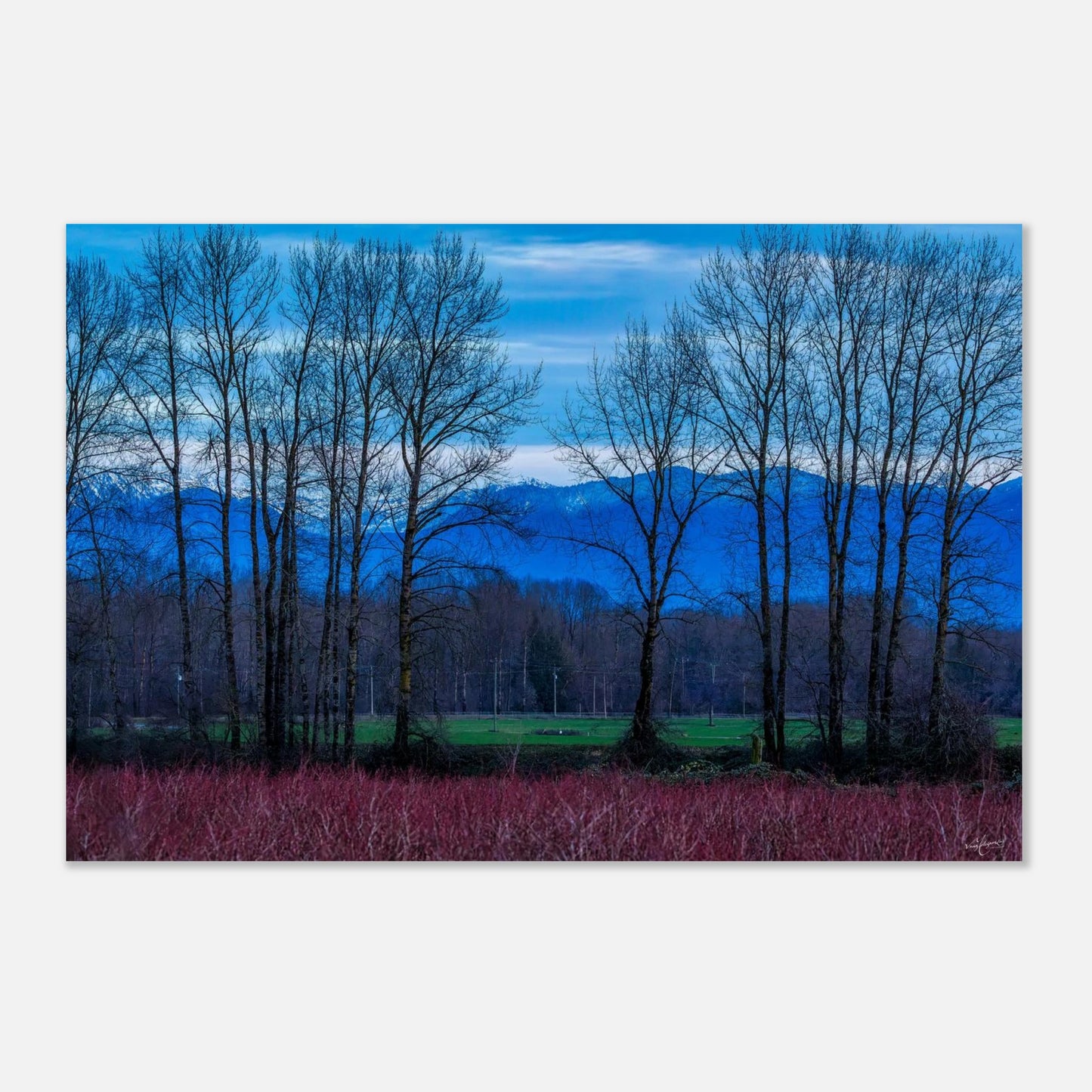 a298525f-58ed-4827-97dc-5688f45cc5af