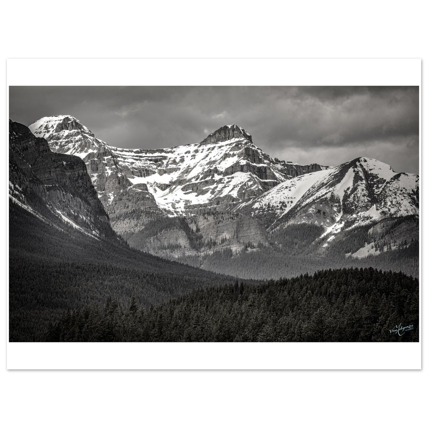 a29cfda8-6ab5-40b4-b158-683380ed897b