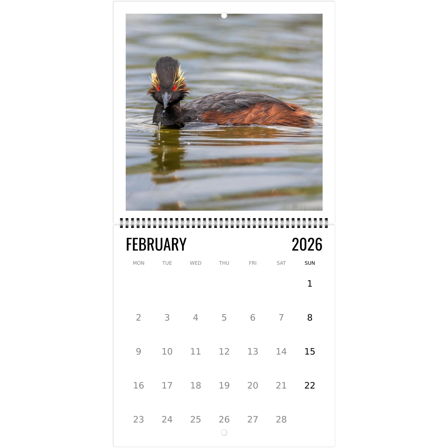 a614299d-21c3-4ba5-821f-999049d38580