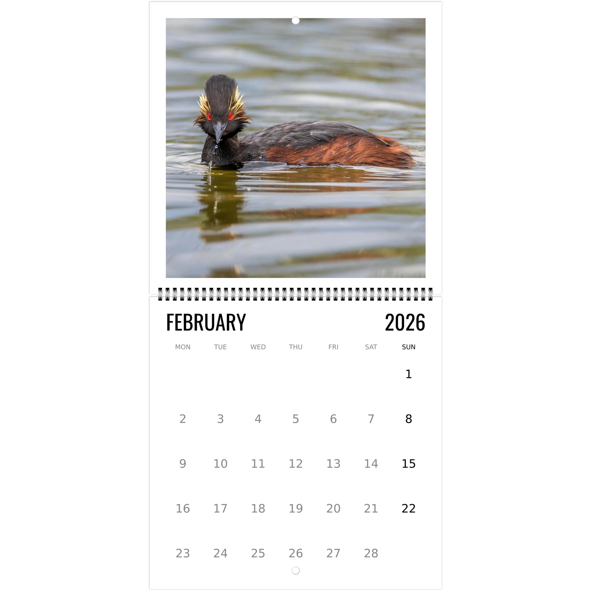 a614299d-21c3-4ba5-821f-999049d38580