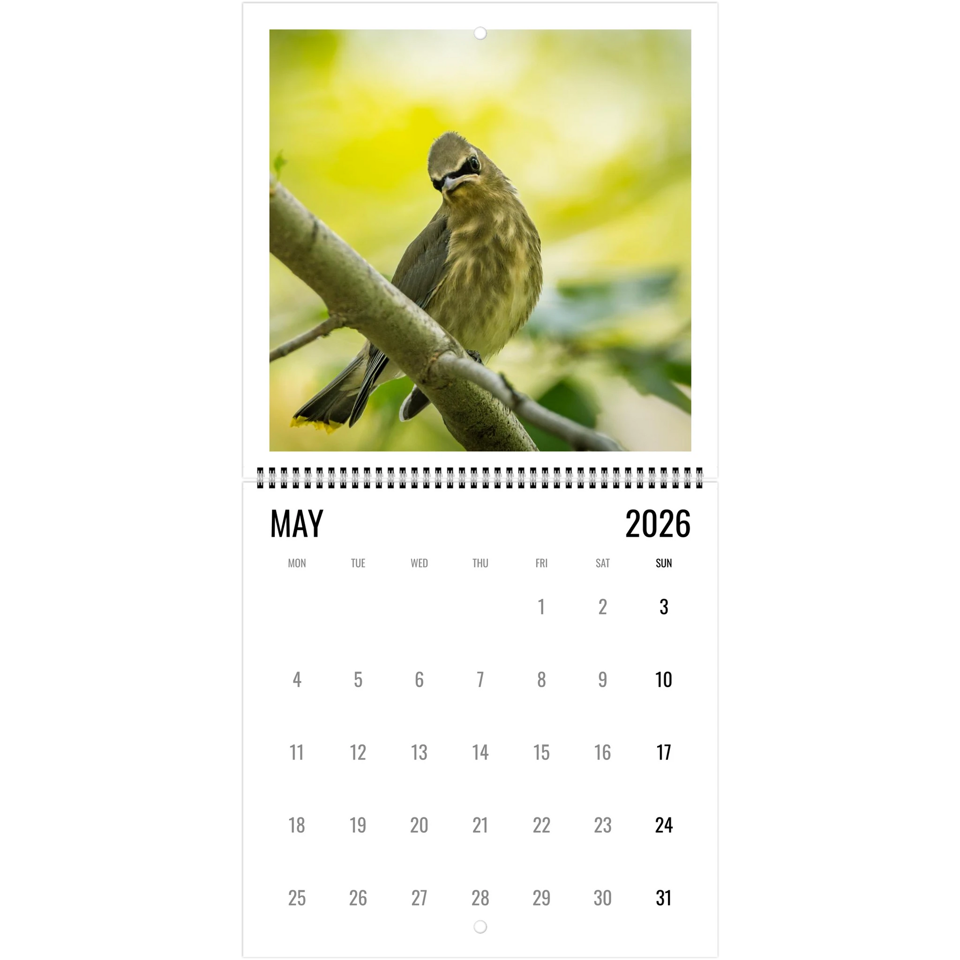 a7b1c9a5-8323-4d4e-8dd2-1fa1cf7b5f7d