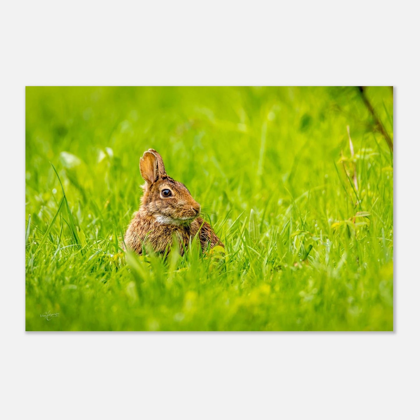 a7f290b0-cf9c-4aac-ab73-177003489829