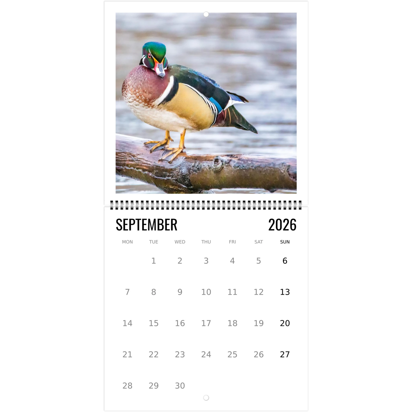 a98fd2bb-8429-4458-8964-fd8acede1aee