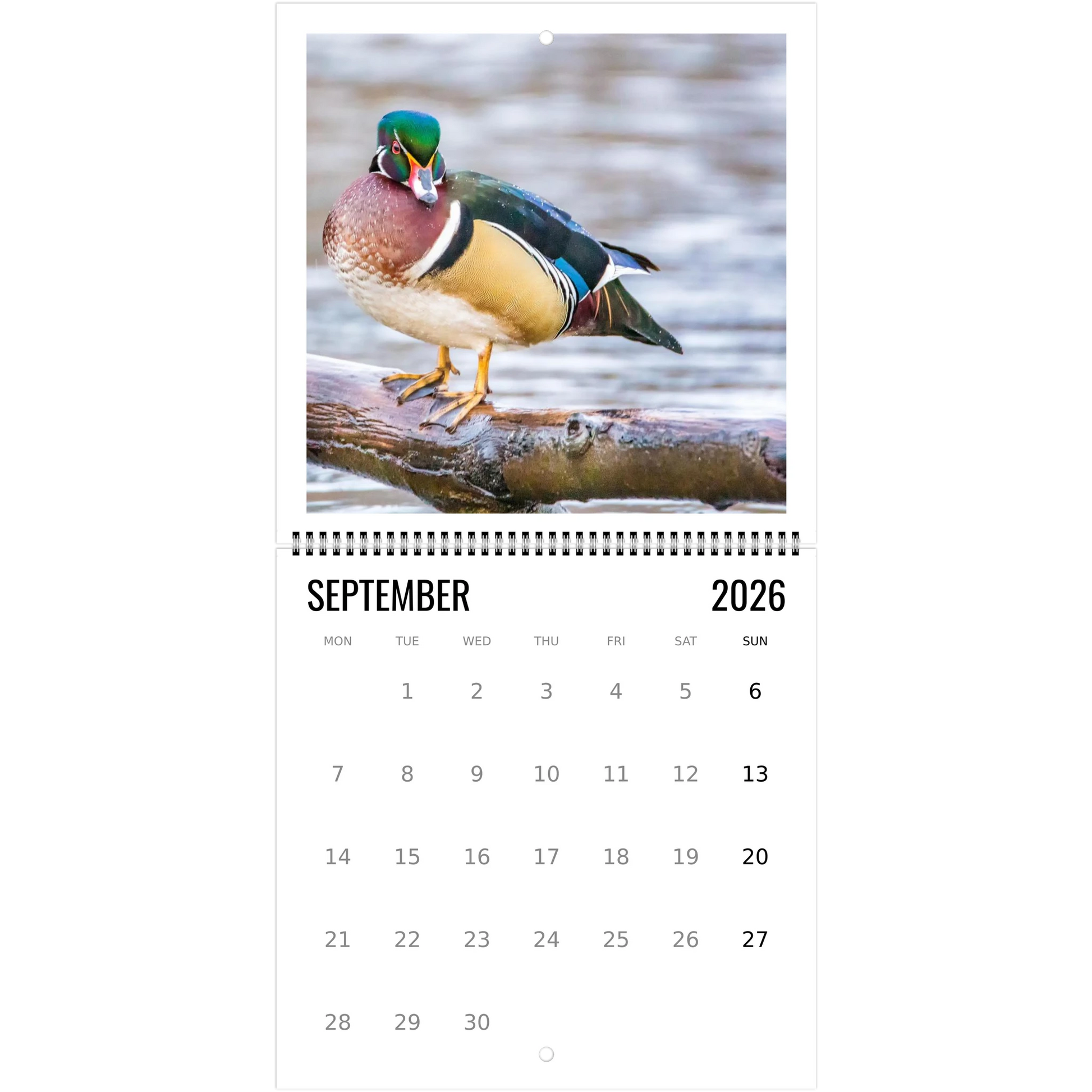 a98fd2bb-8429-4458-8964-fd8acede1aee