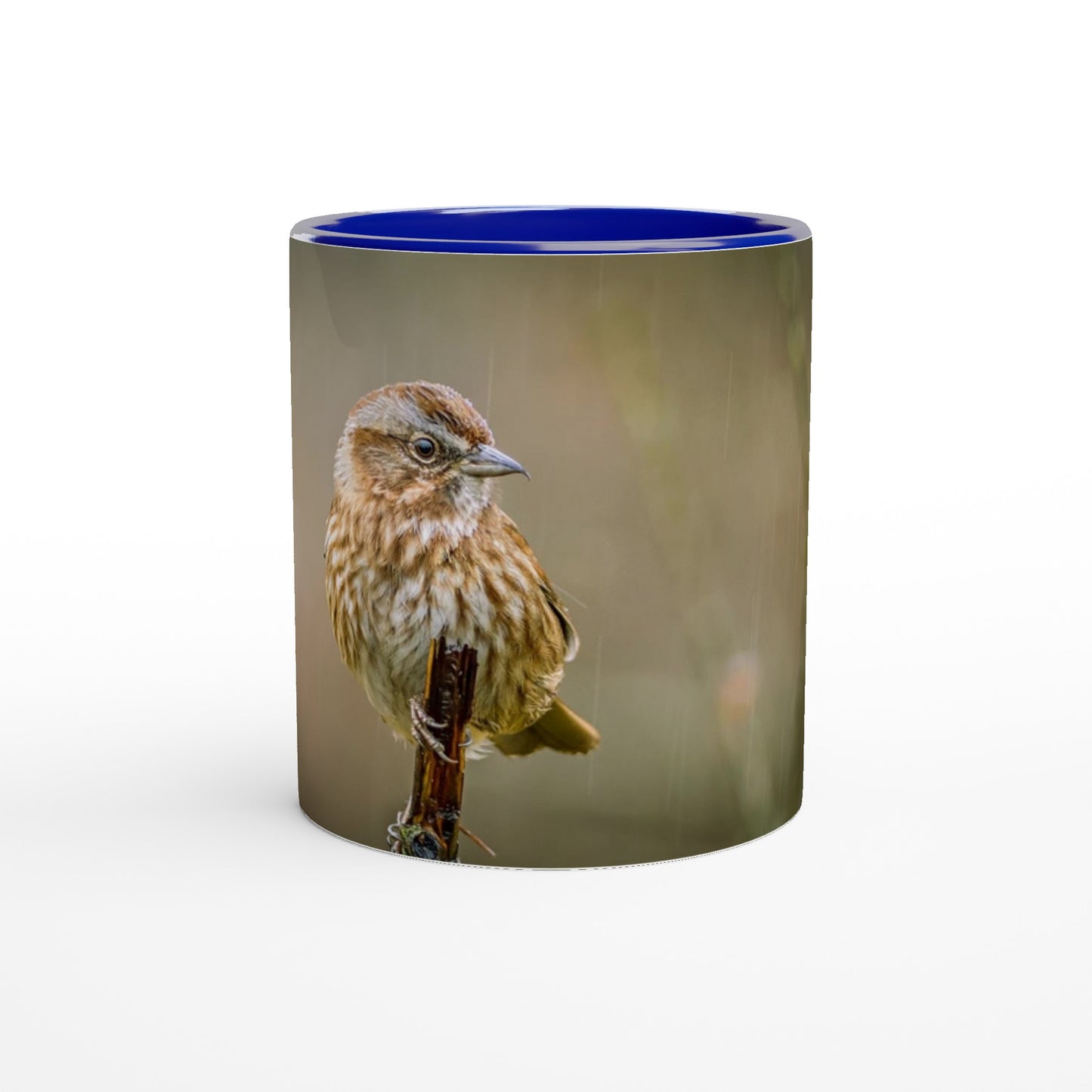 aab76602-99aa-40f5-aef6-fd19b73263cc