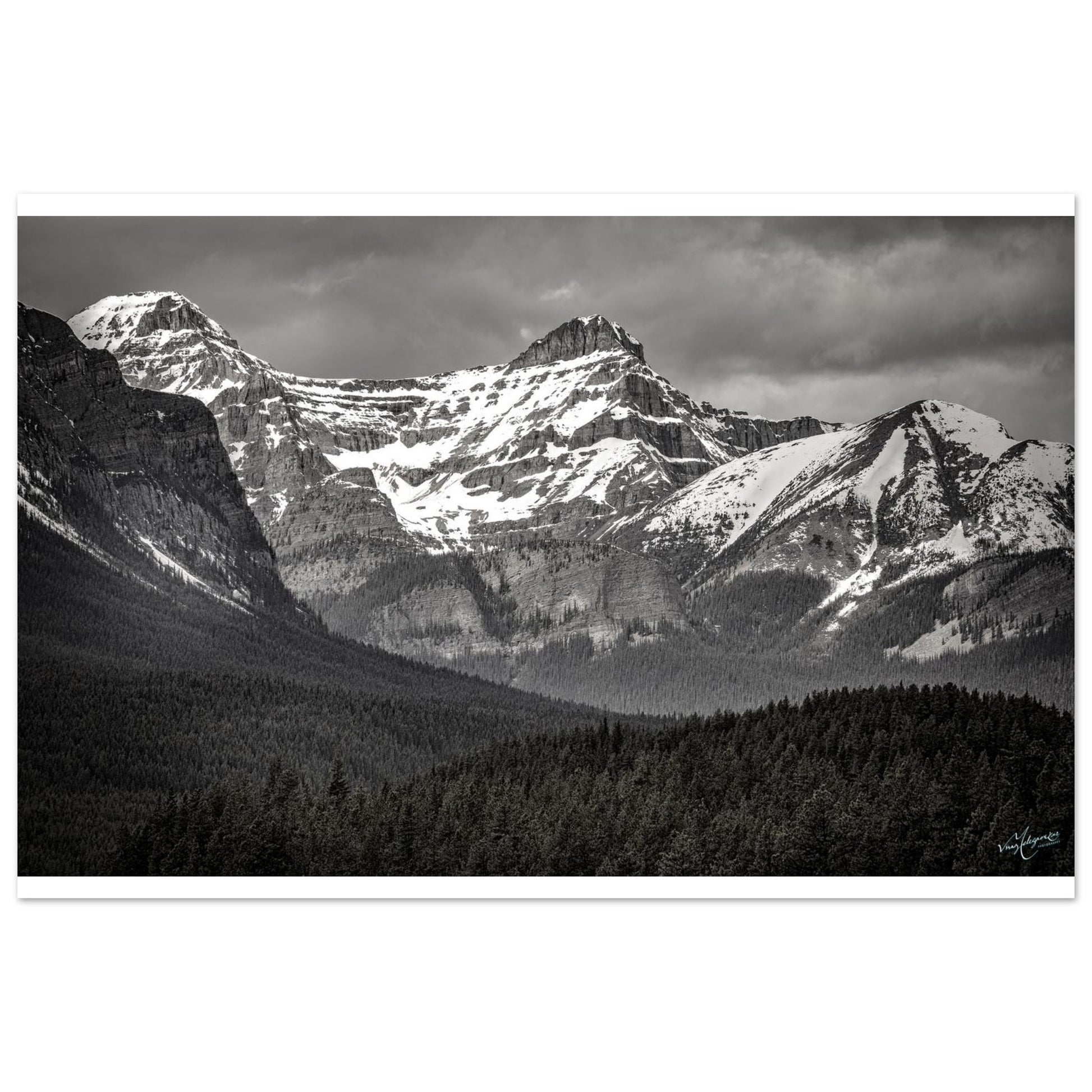 abca35ba-551f-4a90-bae3-4eeb9e00bb0b