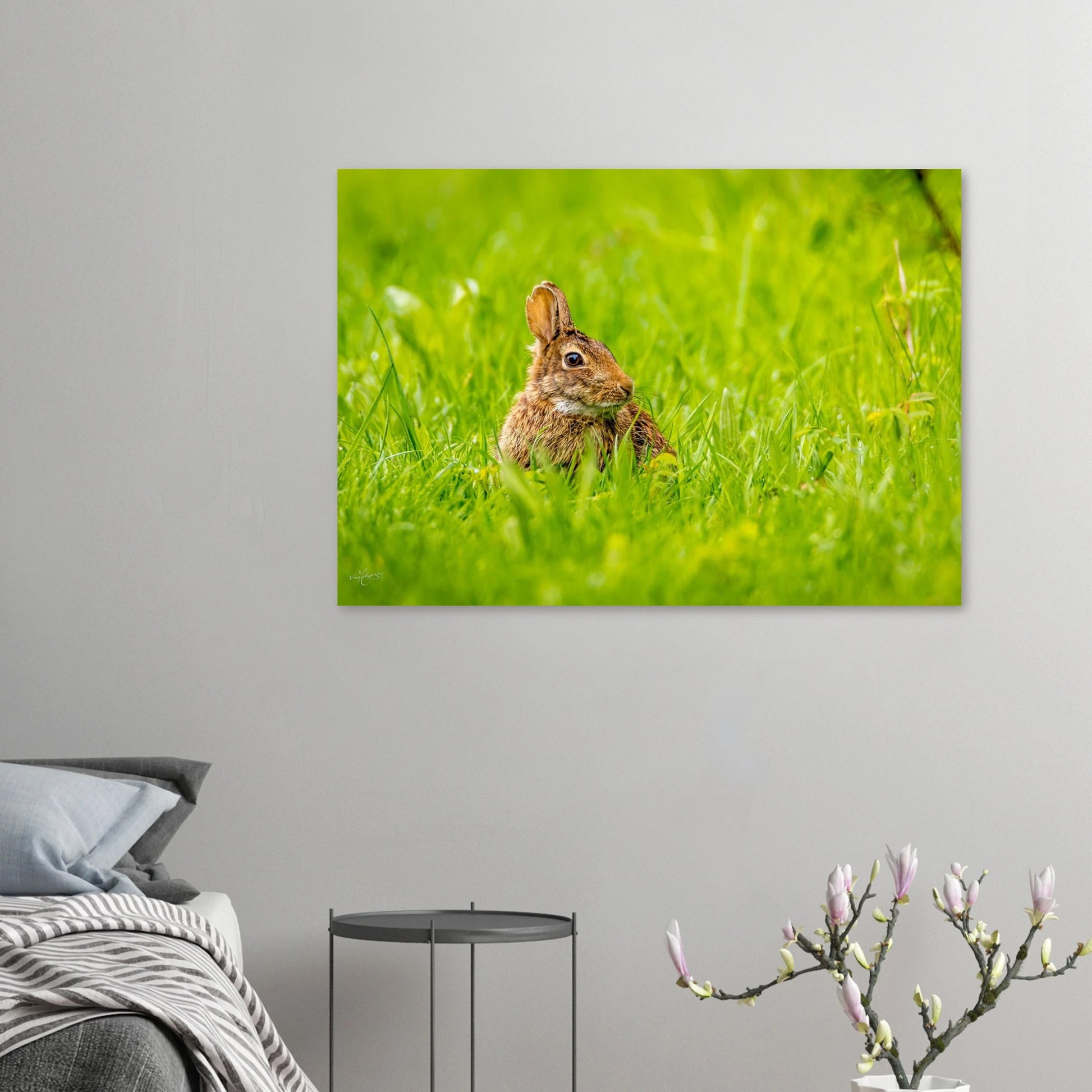 ae0649f5-c004-44fe-ab23-79d501637498