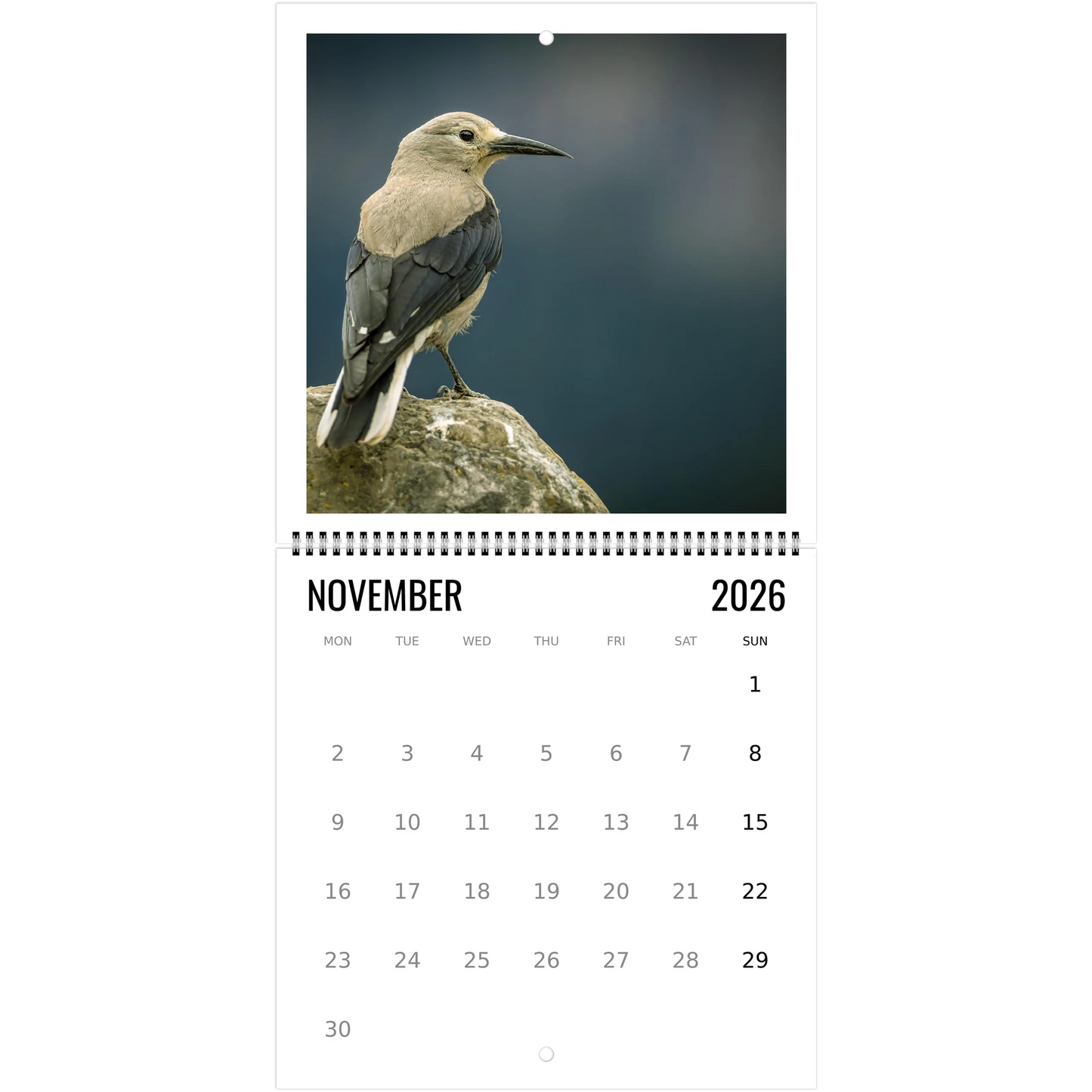 ae31f5ab-66f4-4ff7-a553-2630278ca95c