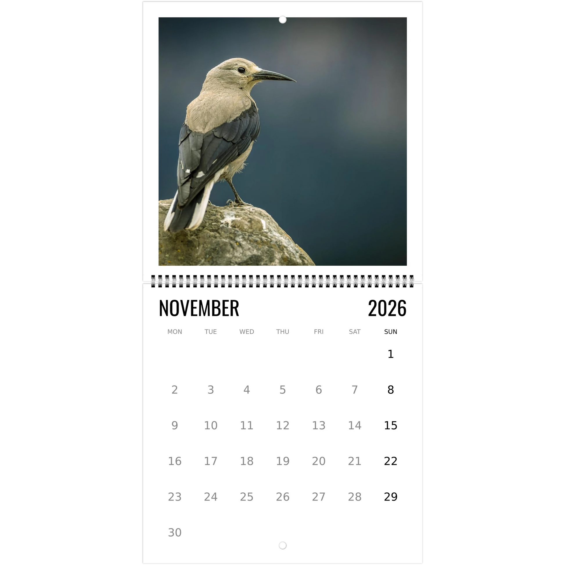 ae31f5ab-66f4-4ff7-a553-2630278ca95c