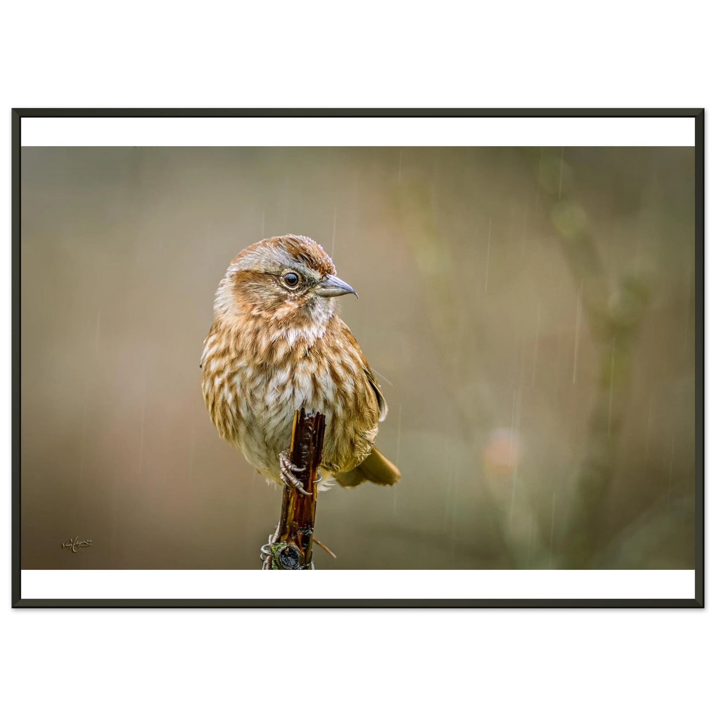 af1a5885-b9de-416a-96ef-92b687361f3e